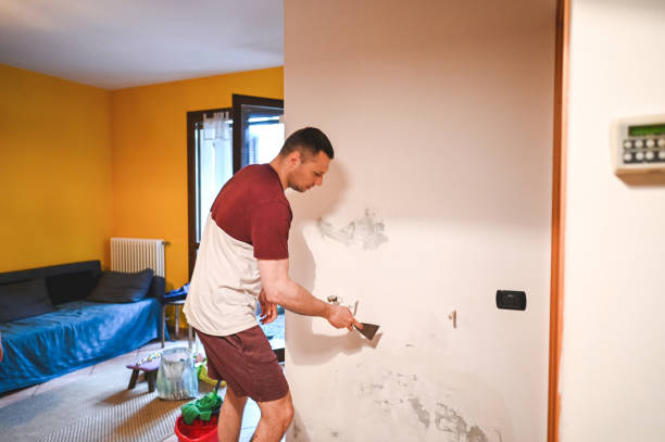 Best Certified Mold Removal  in Bluefield, WV